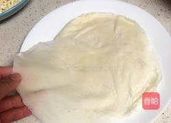 新年春卷(杭州口味)的做法图解4