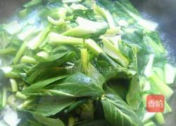 香茹扒油菜的做法图解2