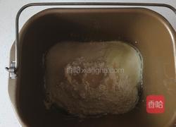 汤种椰蓉面包的做法图解4