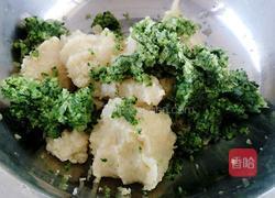 素馅蒸饺的做法图解7