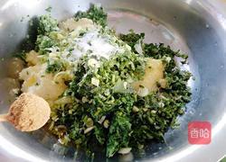 素馅蒸饺的做法图解12