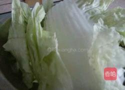 白菜猪肉肉饼的做法图解1