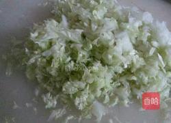 白菜猪肉肉饼的做法图解2