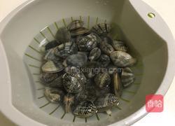 炒文蛤的做法图解1