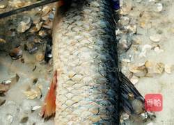 红烧草鱼尾的做法图解1