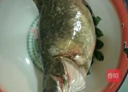 清蒸桂鱼的做法图解1