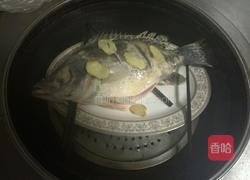 清蒸桂鱼的做法图解3