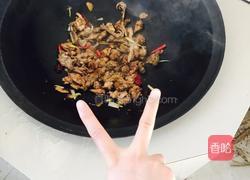 红烧山野鸡的做法图解5