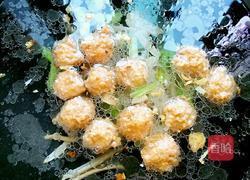 全家福的做法图解5