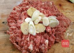 青萝卜猪肉馅的做法图解4