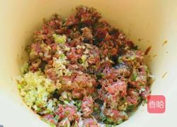 青萝卜猪肉馅的做法图解6