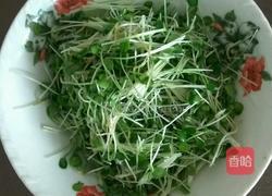 拌香椿芽的做法图解3