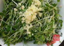 拌香椿芽的做法图解2