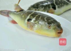 红烧河豚的做法图解1