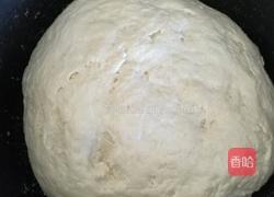 龙虾猪肉馅饺子的做法图解2