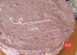 蓝莓慕斯夹层蛋糕的做法图解17