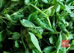 炒豌豆尖的做法图解1