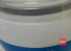 自制美味黄桃酸奶的做法图解8