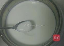 自制美味黄桃酸奶的做法图解9