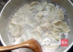 韭菜猪肉水饺的做法图解15