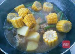 东北大丰收的做法图解16