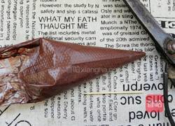 千叶方糕的做法图解14