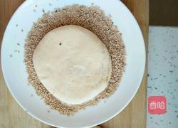 五香烧饼的做法图解12