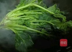 菠菜粉丝的做法图解4