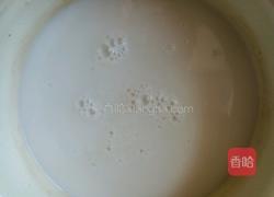 肉皮冻（豆浆机版）的做法图解4