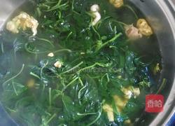 白花菜汤的做法图解7