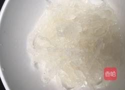 香草木瓜燕窝的做法图解3
