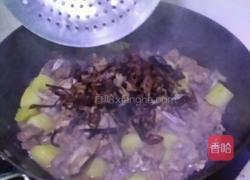 小野鸡炖蘑菇的做法图解13