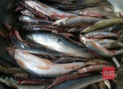 石梯麻辣脆皮鱼的做法图解1