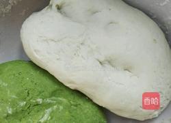 菜汁饺子的做法图解2