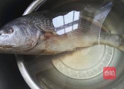黄焖鱼的做法图解1