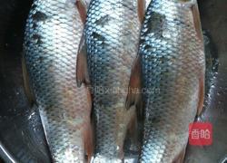 香煎鲮鱼的做法图解1