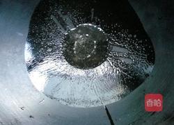 香煎鲮鱼的做法图解3