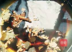 五香鹌鹑蛋的做法图解6