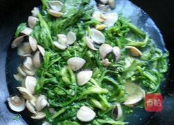 沙白煮松蒿的做法图解7