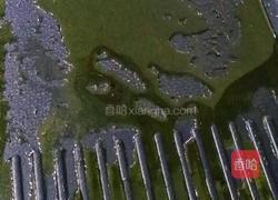 韩式烤肉的做法图解9