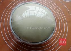 淡奶油芝士面包的做法图解4