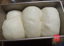 原味吐司的做法图解8