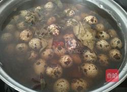 五香鹌鹑蛋的做法图解4