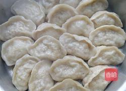 白萝卜猪肉馅水煎饺的做法图解17