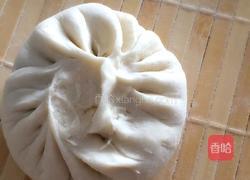 猪肉白菜包子的做法图解6