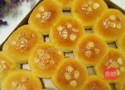 酸奶小餐包的做法图解12