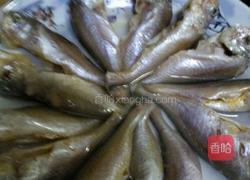 红烧大头宝的做法图解6