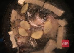 鱼头火锅的做法图解5