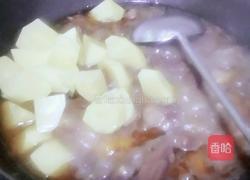 土豆炖大鹅的做法图解11
