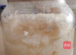 自制醪糟(米酒)的做法图解12